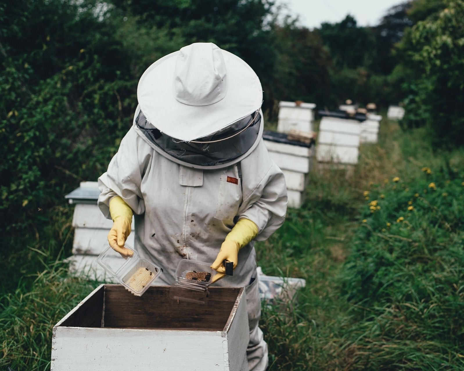 Sacs pour les apiculteurs